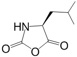 Leu-NCA